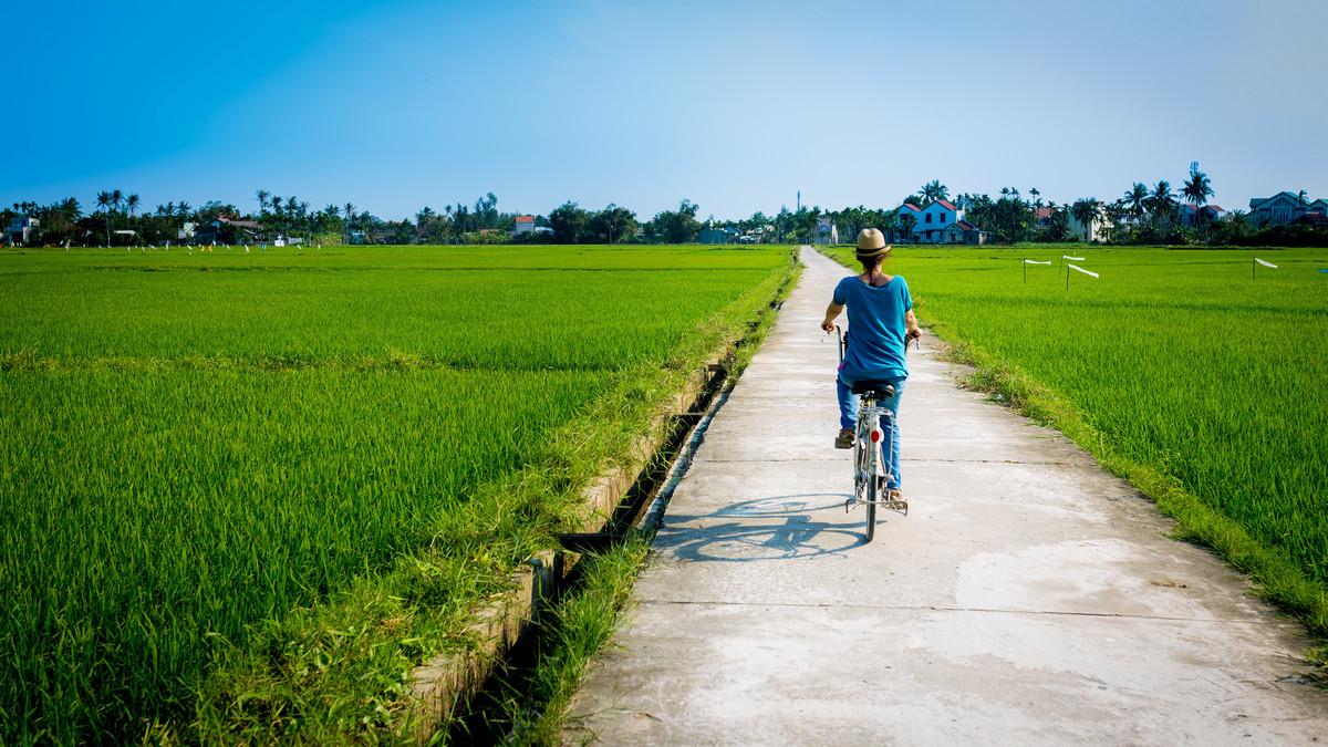 bike tour into paddy fields